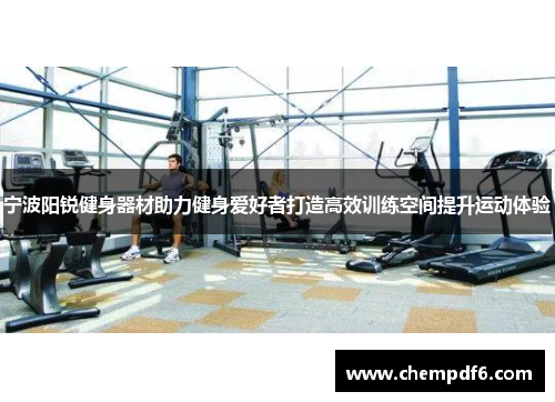 宁波阳锐健身器材助力健身爱好者打造高效训练空间提升运动体验