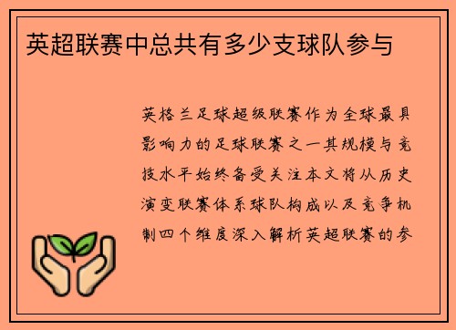 英超联赛中总共有多少支球队参与